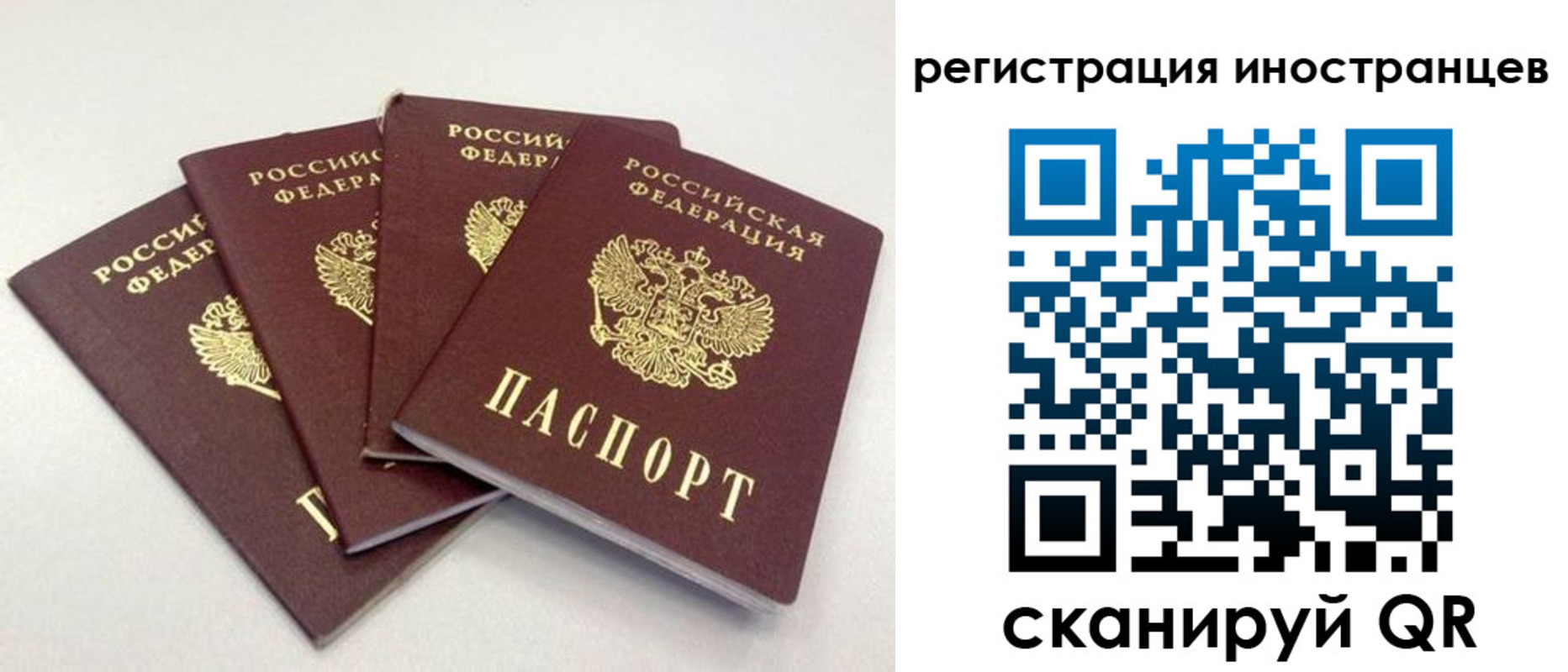 временная регистрация для школы в Биробиджане